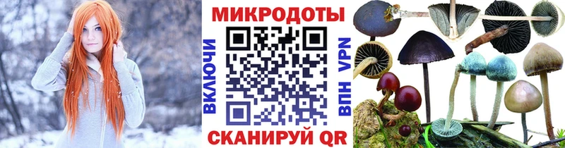 Псилоцибиновые грибы ЛСД  Берёзовка 
